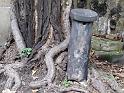2011-04-16, Eliasfriedhof (58)